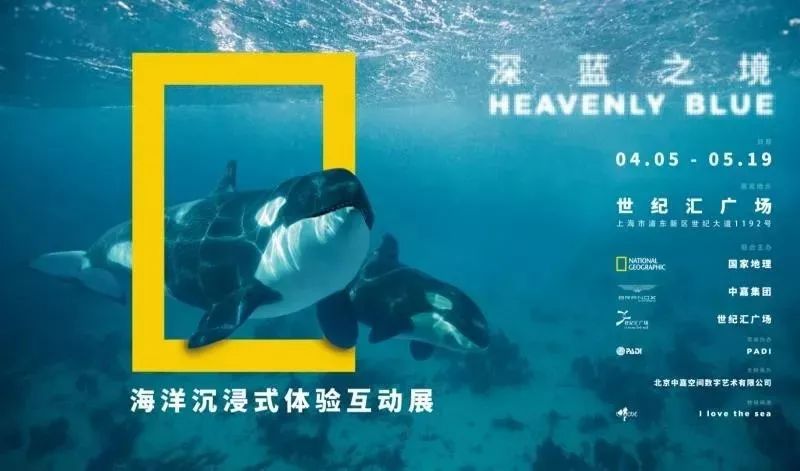 日常羡慕上海人！这样去浪，才算没白过这人间的四月天！