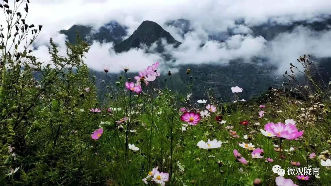 两水起“新城”，庙会值“千金”！探索乡村振兴观地方文化魅力