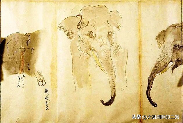 日本皇室特别喜欢给动物封官,每一个级别都比大名高