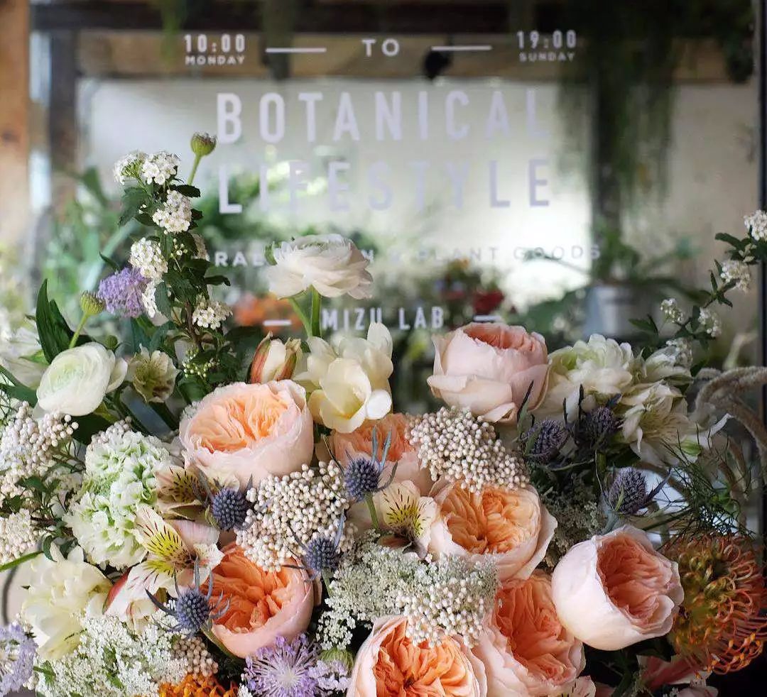 她辞去总监回家扶贫后续,她辞去总监回家扶贫结局