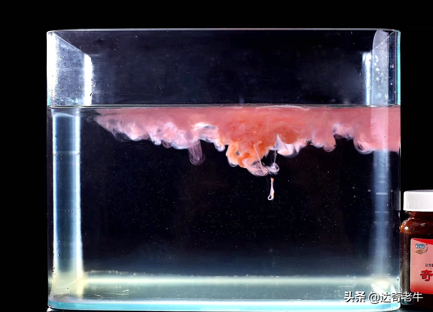 味型一样的钓鱼小药,为何价格相差10倍?业内的秘密你不知道