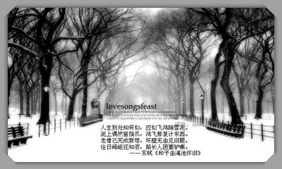 苏东坡的诗问世间情为何物,苏东坡的人生哲学