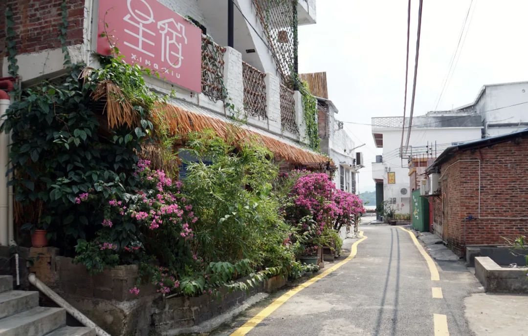 理想照进现实的生活,理想照进现实视频