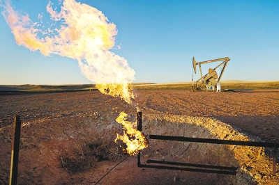 元素家族全放送,元素家族在线观看