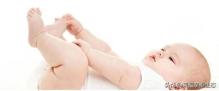 挪威小鱼深海鳕鱼油dha,挪威鱼肝油dha价格