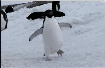 一岁的孩子走路八字脚怎么回事,宝宝刚学走路八字脚正常吗