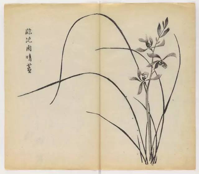 毛笔怎么画兰草,怎么画兰花和书法