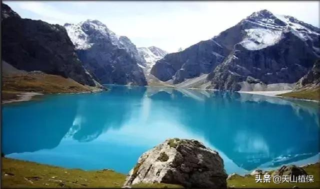 伊犁可克达拉草原,伊犁草原之旅