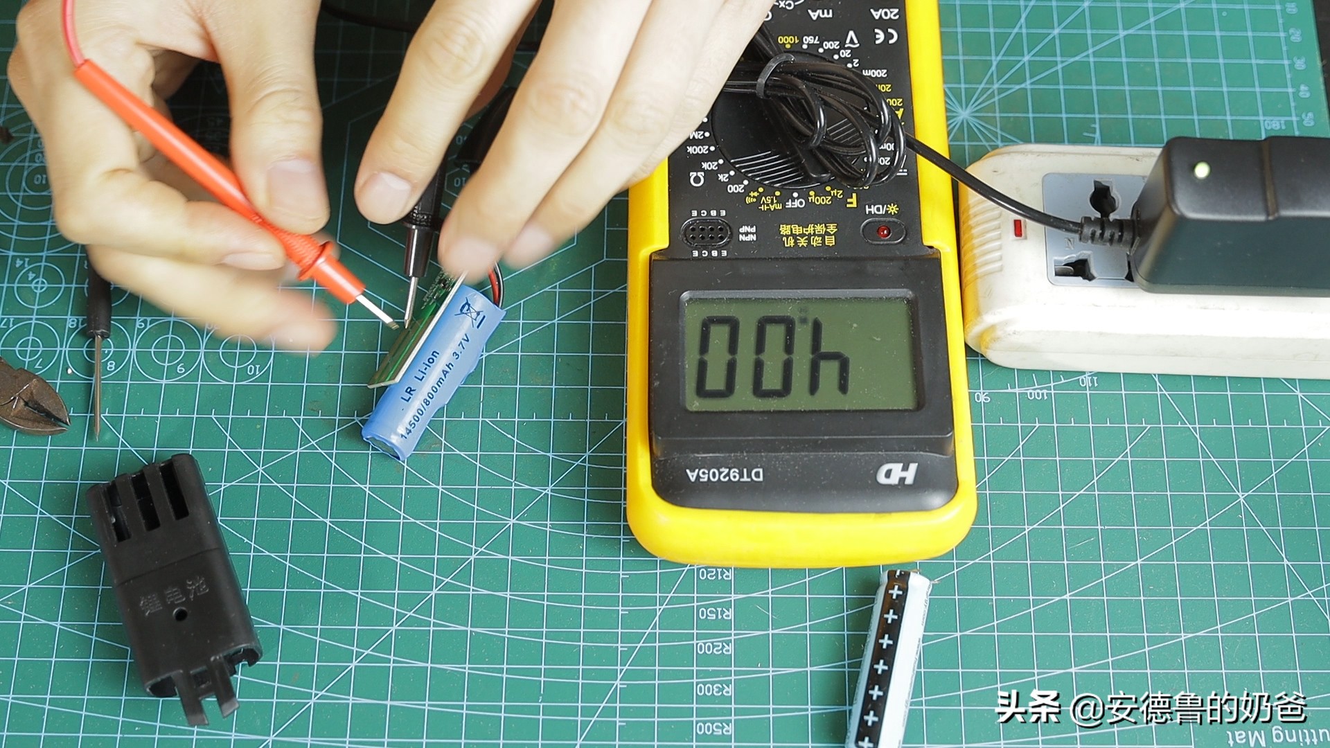 春日vlog完整版,春日vlog竖版