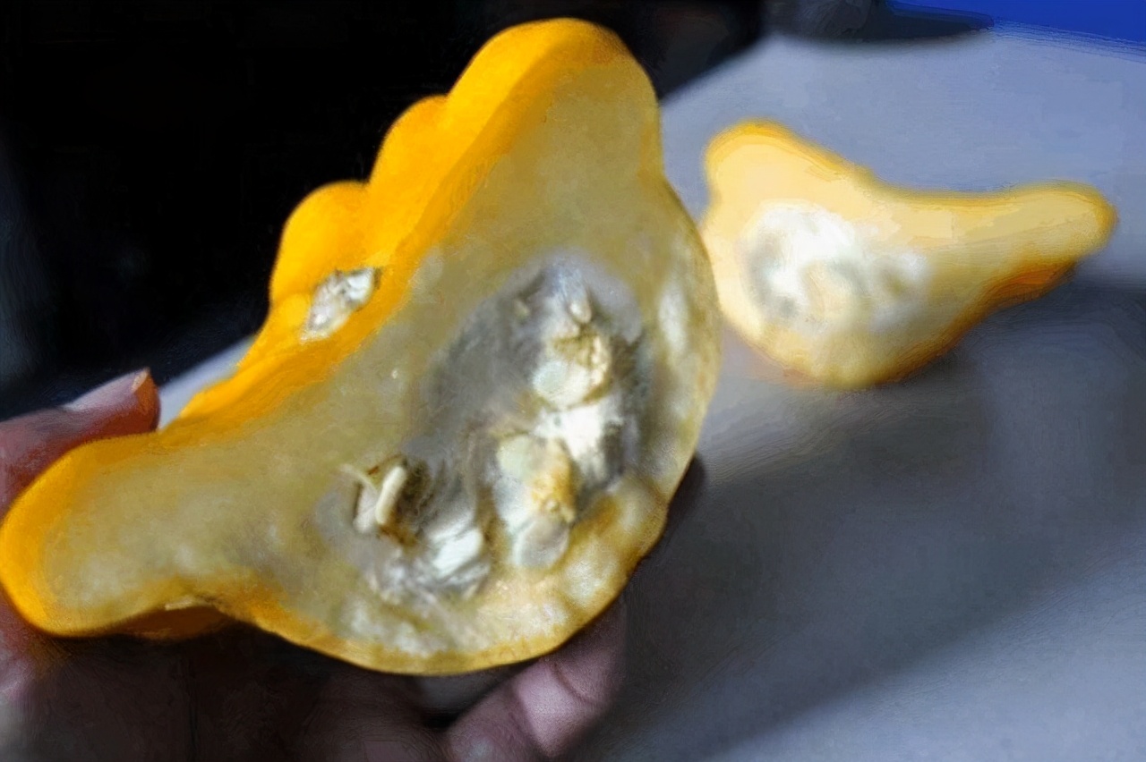 莲花果属于什么植物,莲花果介绍