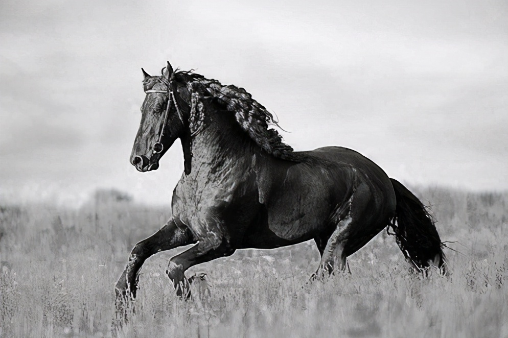 封神演义马忠大战哪吒,封神演义中十大神兽