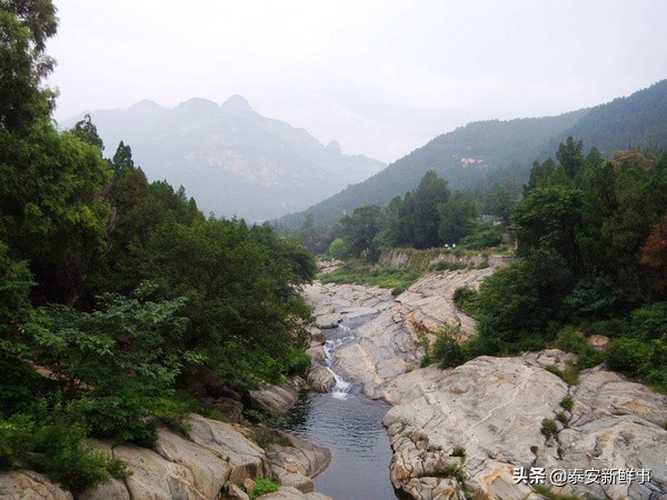 泰山斗姆宫尼姑,泰山斗母宫和斗姥宫