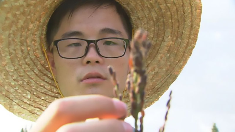 90后放弃城市打工回农村种果园,90后放弃百万收入