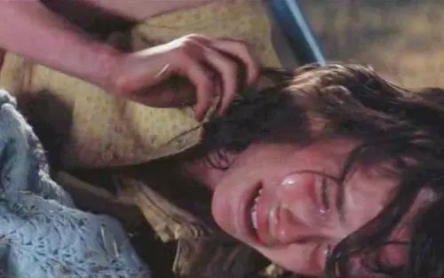 美国田园下的罪恶,美国田园下的罪恶免费在线播放