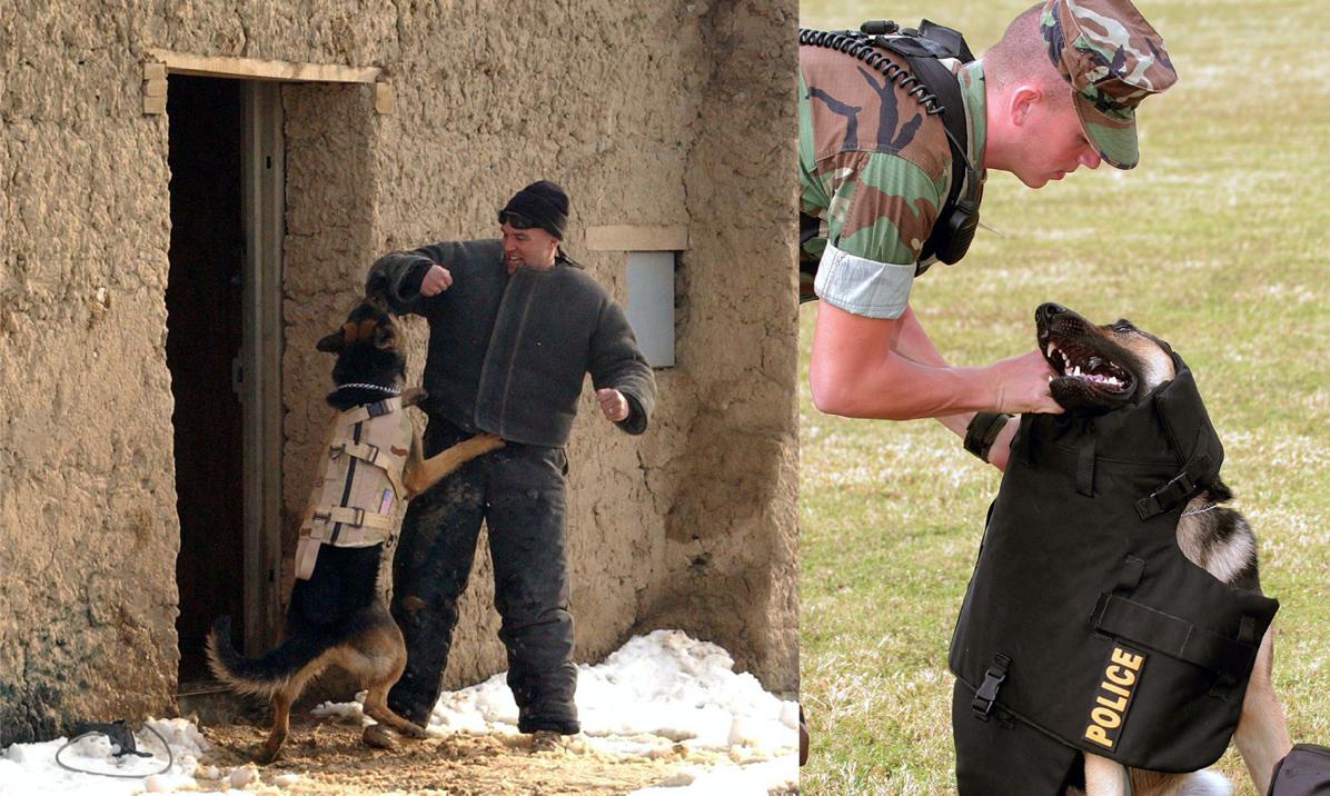 防弹衣的进化,超纤维材料防弹衣