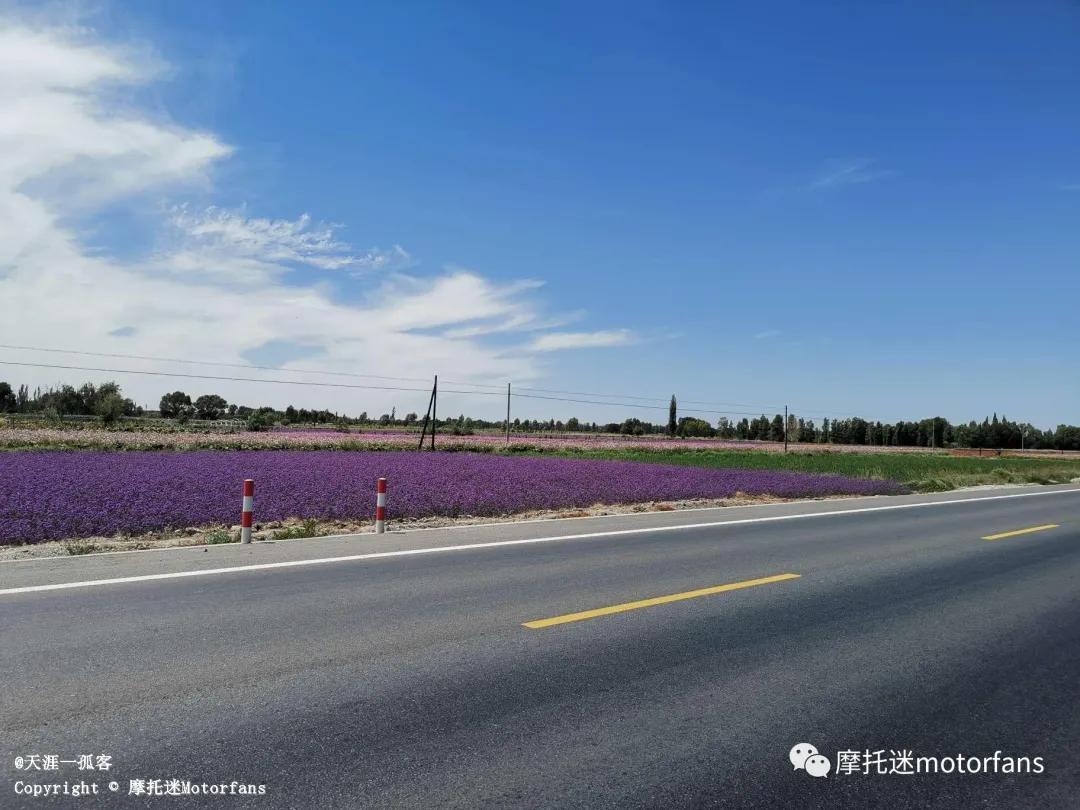 天津力帆k19,力帆摩托车k19骑行视频