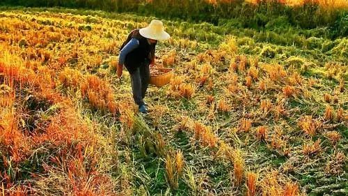 如何缓解对父母的抗拒心理,如何释放内心里对父母的怨恨