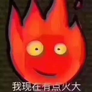 被中国山寨的品牌,被中国山寨货坑了的奢侈品