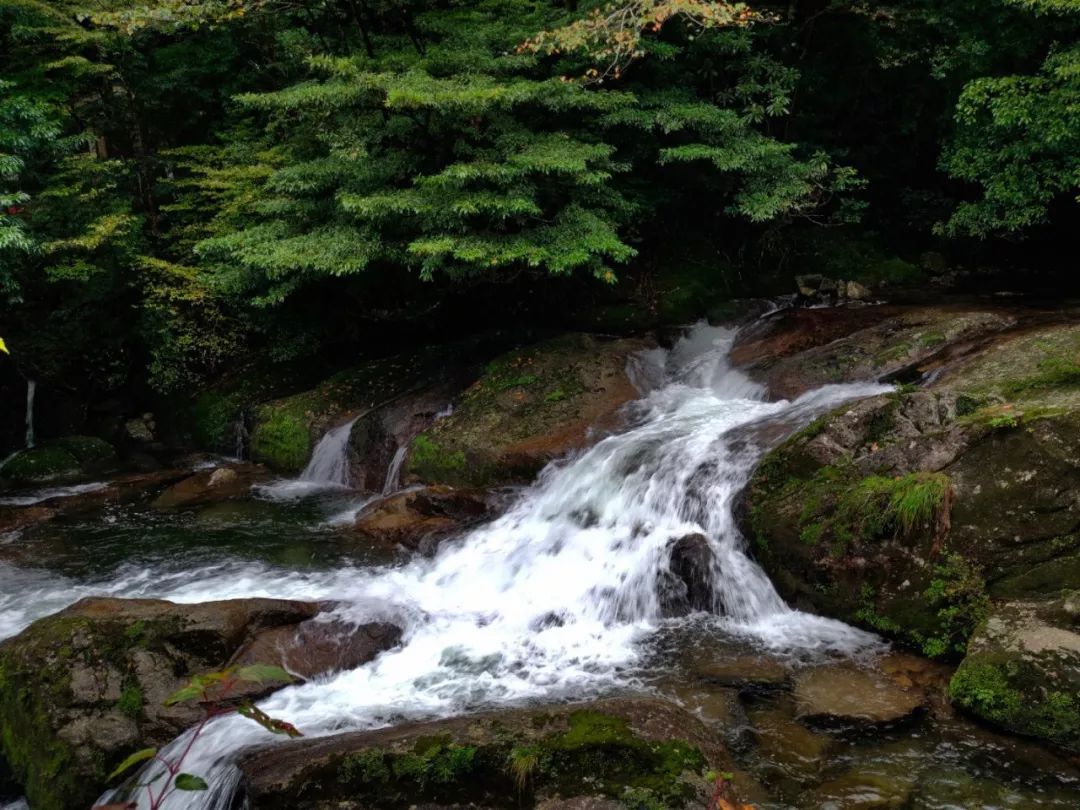 vivonex3和vivonex3s,vivonex3和vivonex3s区别