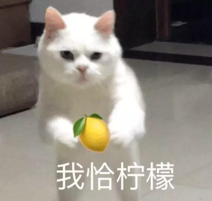 情人节你最想得到什么礼物,情人节你最想收到的礼物