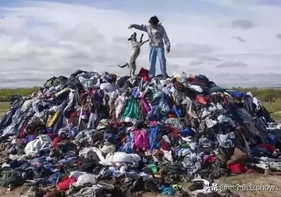 美国最奇葩的电商,美国这家一元店如何做到世界500强