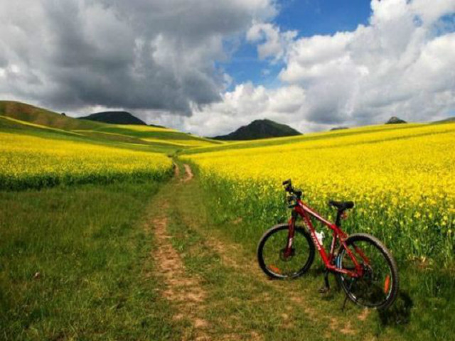 骑行屁股痛怎样克服,骑行久了屁股疼怎么解决