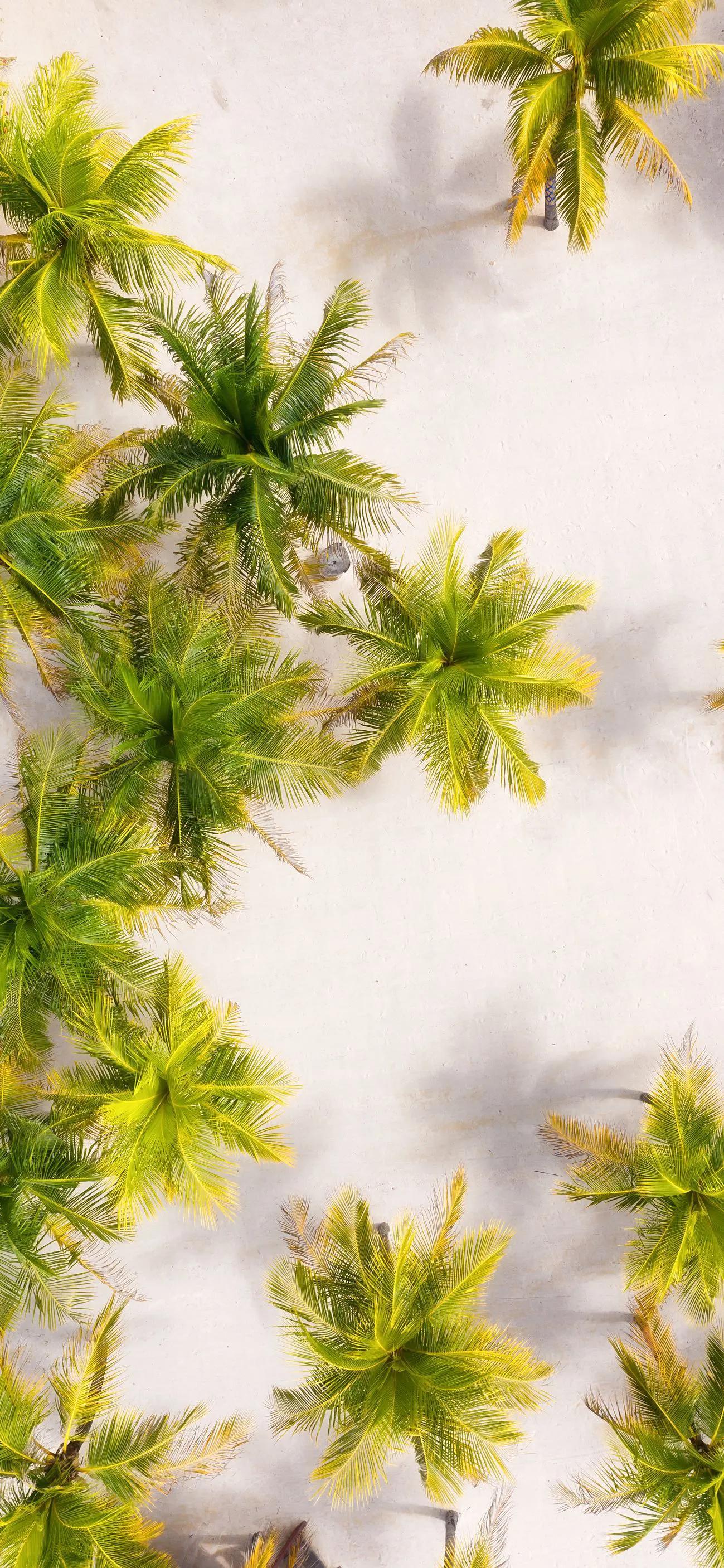 100张日出自然风景全屏壁纸,100张自然风景全屏壁纸花