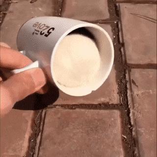 常见的20种网赚骗术揭秘,韭菜有效套路