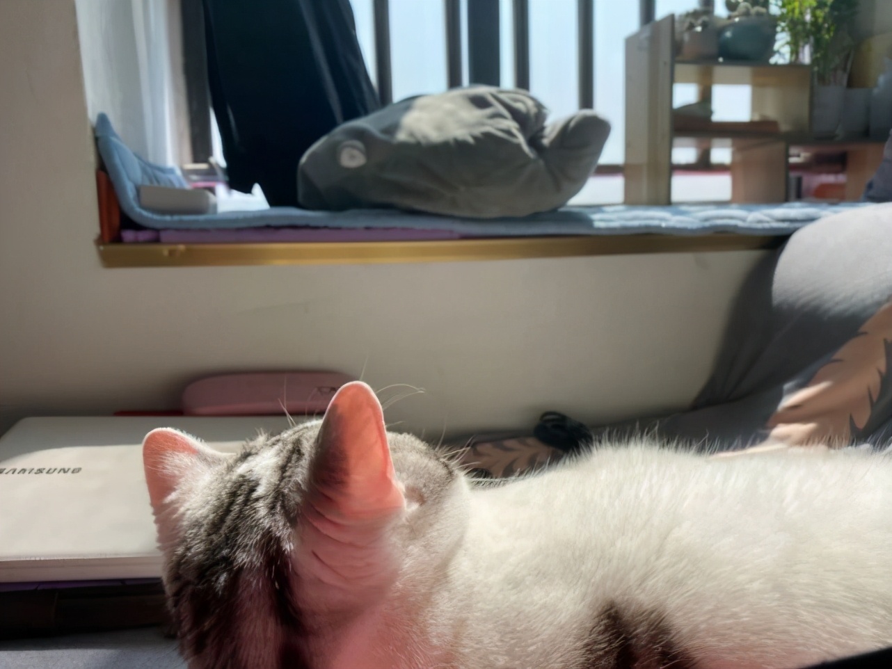 独居的那些事儿：我把性别改成了“男”，手术也只能自己签字