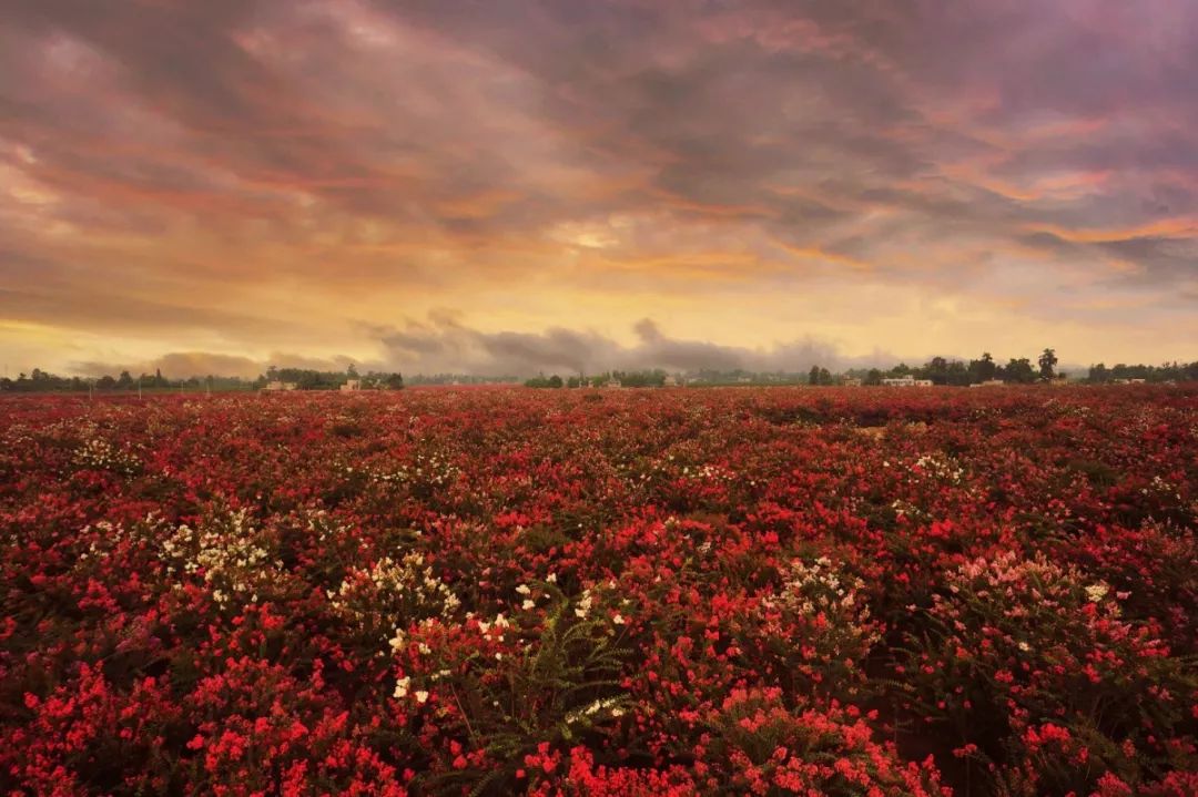 新都民国风情小镇,成都25个特色小镇