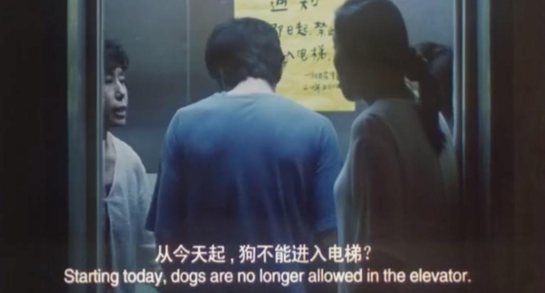 葛优不生孩子,葛优演的最好的一部电影