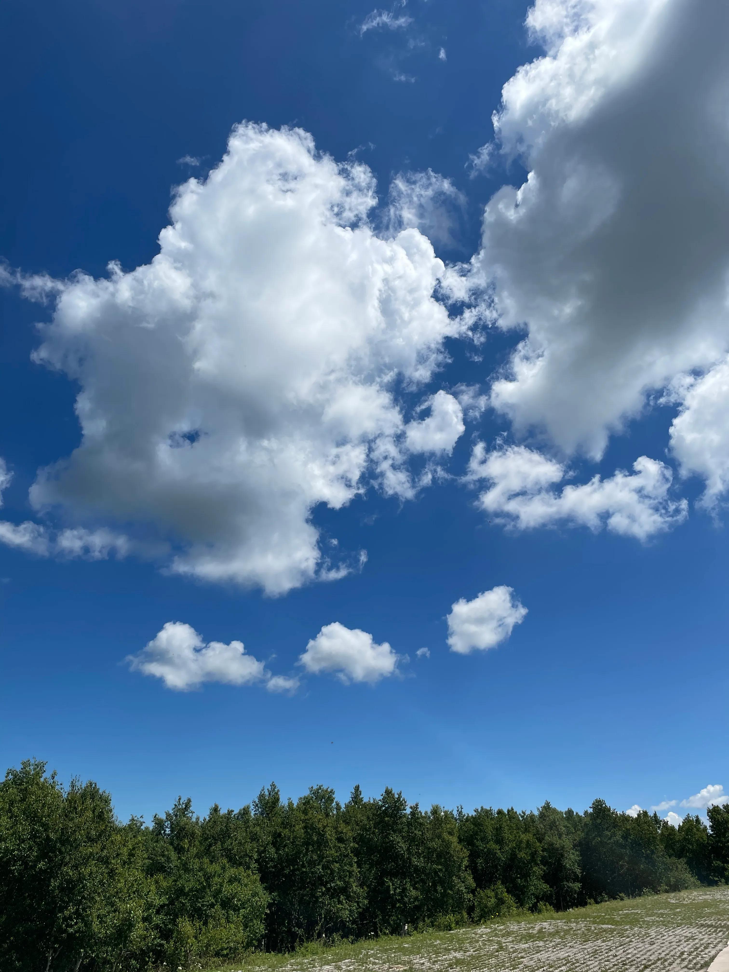 北京正北189公里-丰宁坝上草原之旅