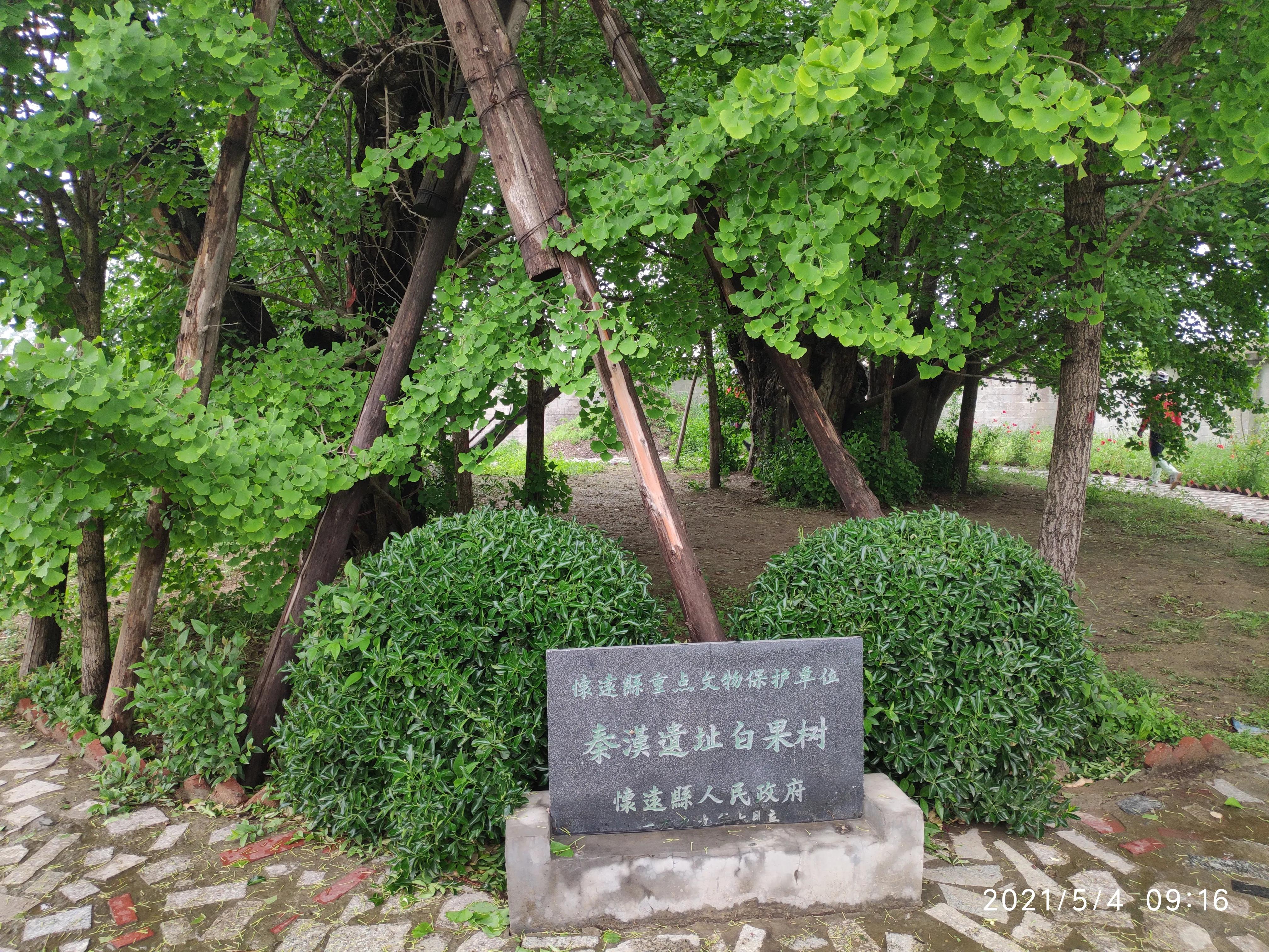 五一骑行临涣古城、芒砀山、云龙湖、皇藏峪