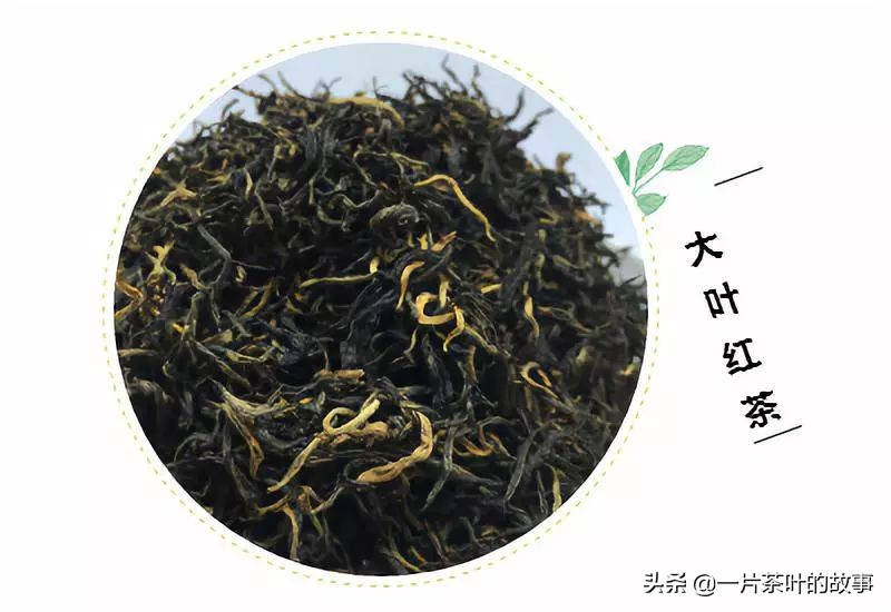 集美红茶阿萨姆红茶伯爵红茶区别,伯爵红茶阿萨姆红茶中国红茶区别