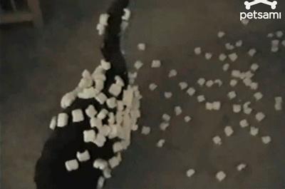 如何从根源上预防静电“啪啪啪”