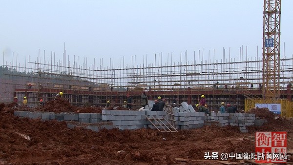 衡山县公办小学招生区域划分,衡山县各小学招生电话一览表