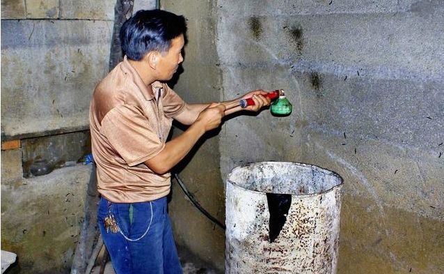 神秘怪虫袭击,神秘怪虫袭击小镇