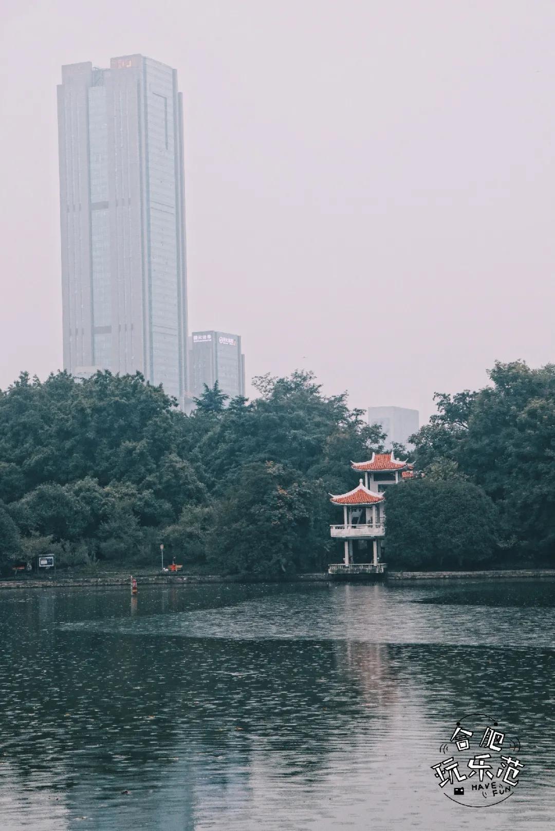 观银河,看银河听风吟的视频