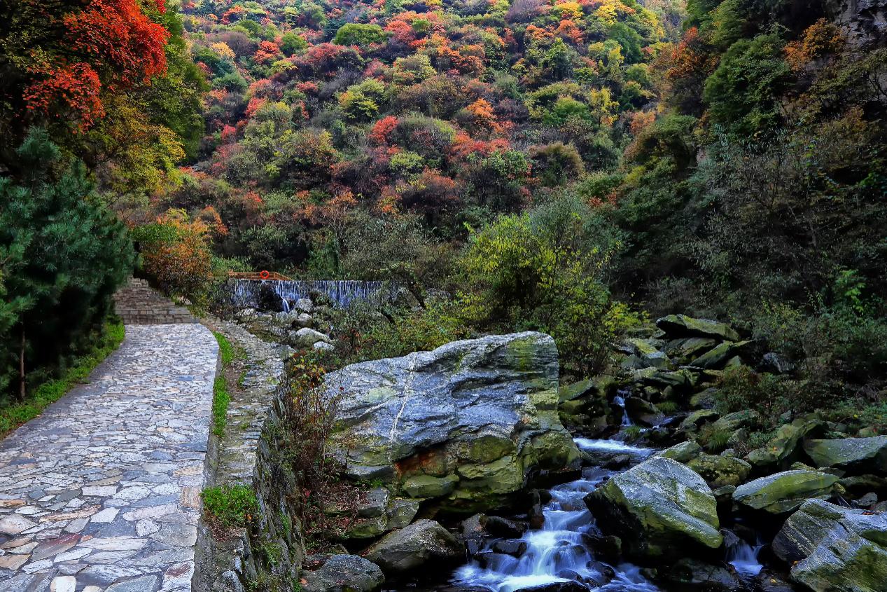 陕西省少华山县红叶节,少华山红叶11月中旬