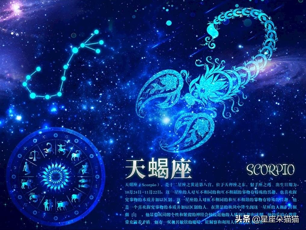 12星座天蝎座男生性格,十二星座深度解析天蝎座