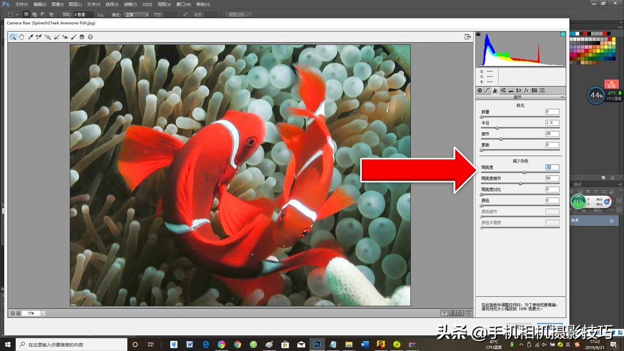 图片噪点太高后期能处理吗,噪点太高的照片后期怎么处理