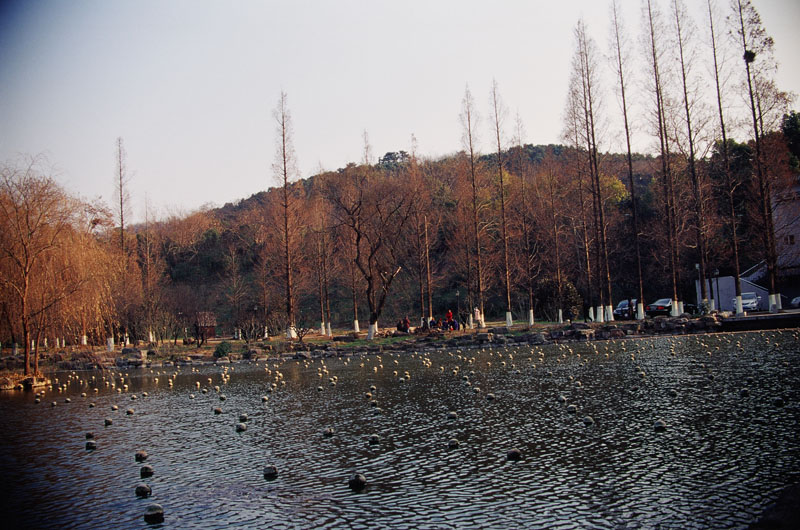 尼康2021年新相机,尼康2021年新相机及镜头展望