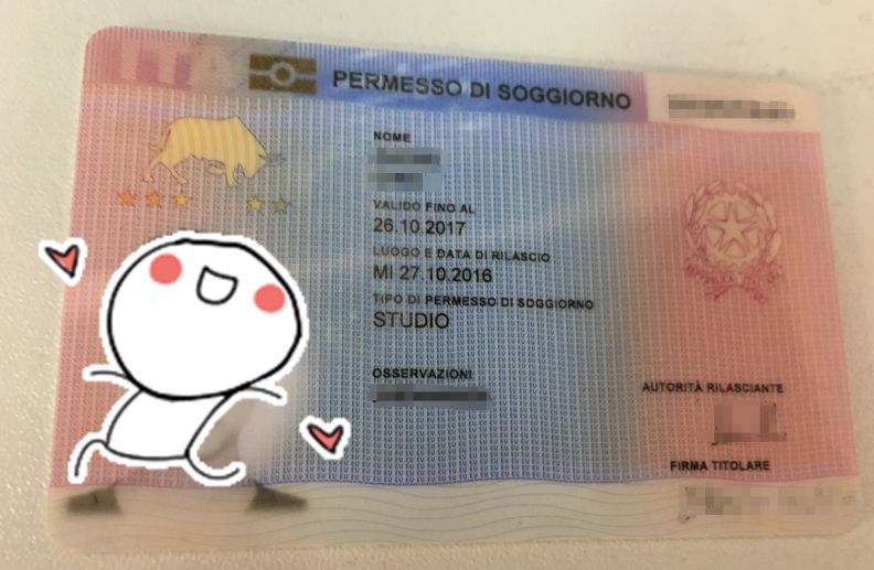 意大利留学办理流程图片高清,意大利留学艺术生居留