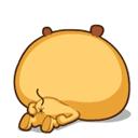 【关注】菊花残,先表慌!了解肛裂知识看下面!