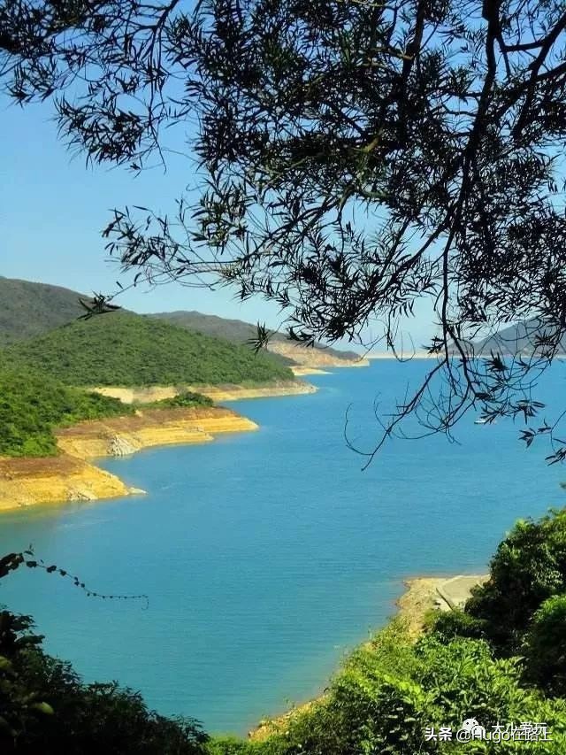 去香港亲子旅行攻略路线图片,香港亲子游最佳路线图