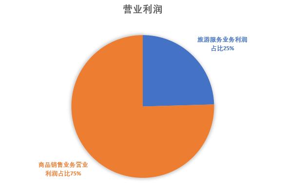 中国国旅中国免税店行业龙头,中国国旅最新视频