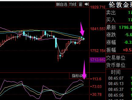 2022年8月25日外汇黄金实时分析,2022年8月5日黄金外汇实时分析