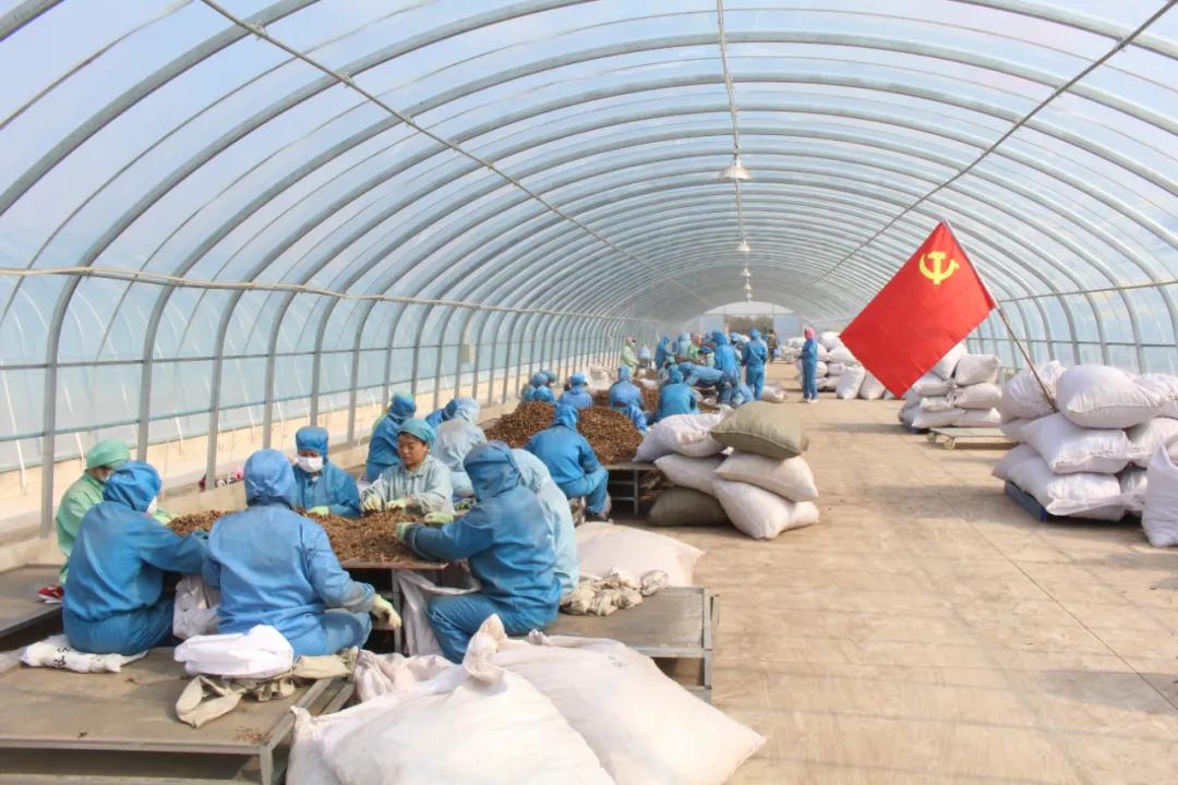 幸福生活到底啥模样,幸福生活到底是什么样的