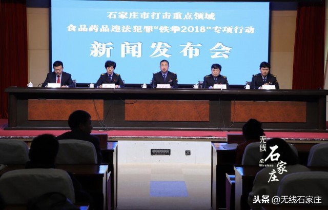 严厉打击食品药品违法犯罪总结,铁拳行动案件查处指南