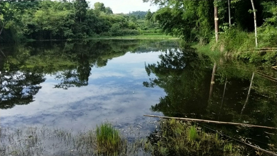 鱼不开口上钩怎么办,夏季有鱼不开口应该怎么钓